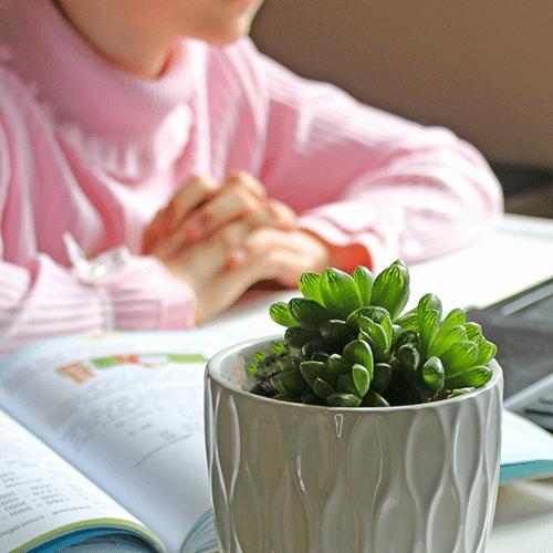 Travis AFB School Liaison Online Tutor Info Young girl studying with an online tutor with reading and writing materials on a desk with a houseplant